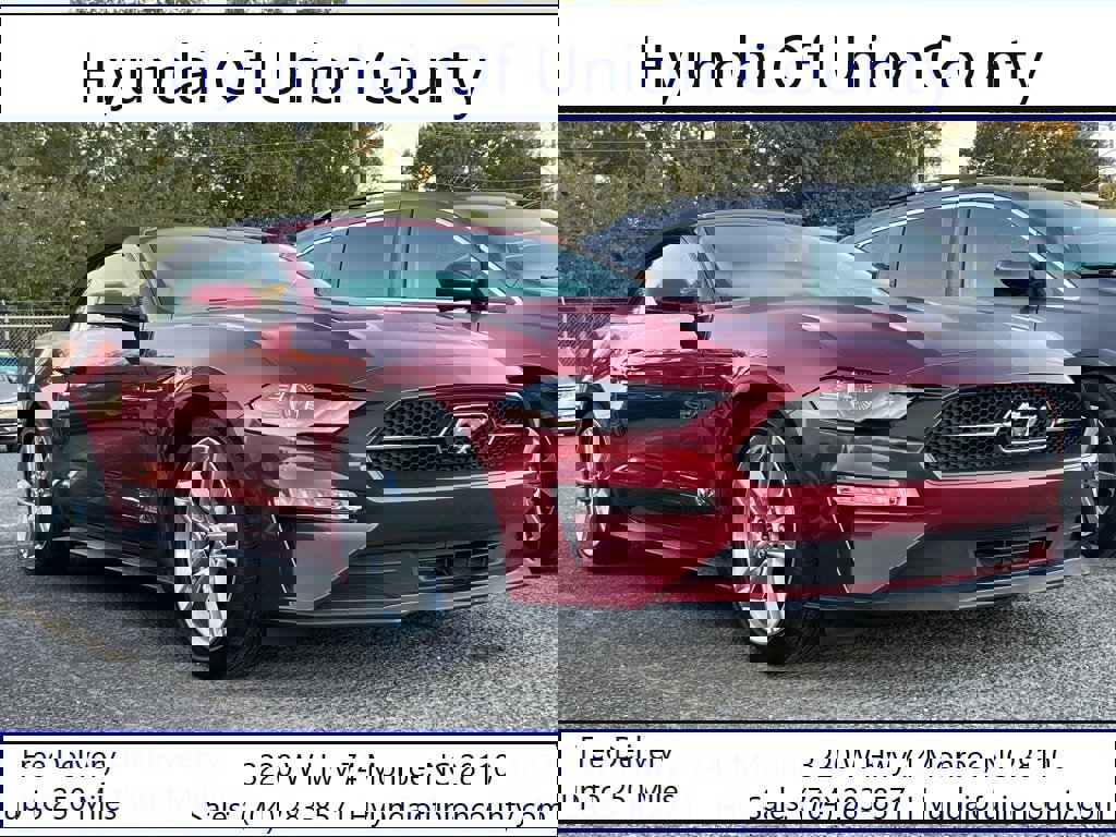 Used 2019 Ford Mustang Premium w/ Pony Package