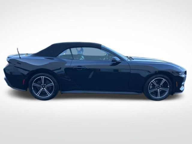 Used 2025 Ford Mustang Premium image 7