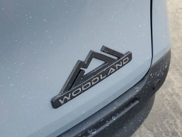 New 2026 Toyota Sienna XLE Woodland Edition image 7