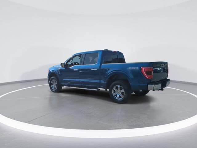 Used 2023 Ford F150 XLT w/ Equipment Group 302A High AWD/4WD image 6