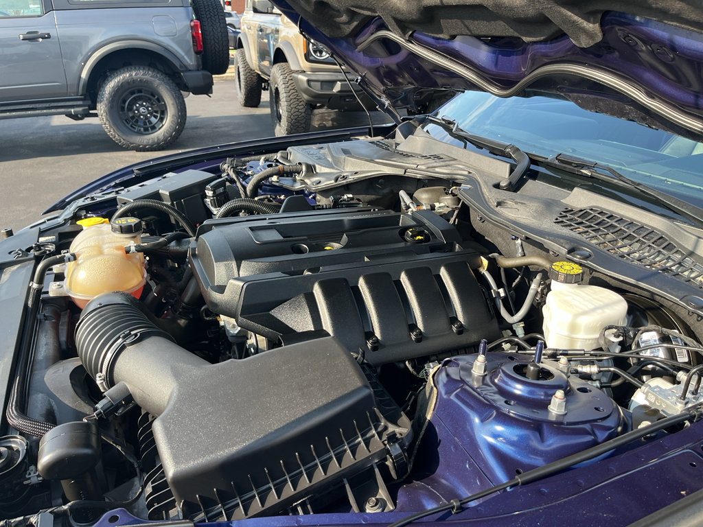 Used 2019 Ford Mustang Premium RWD image 28