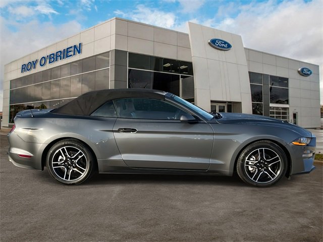 Certified 2022 Ford Mustang Premium image 6