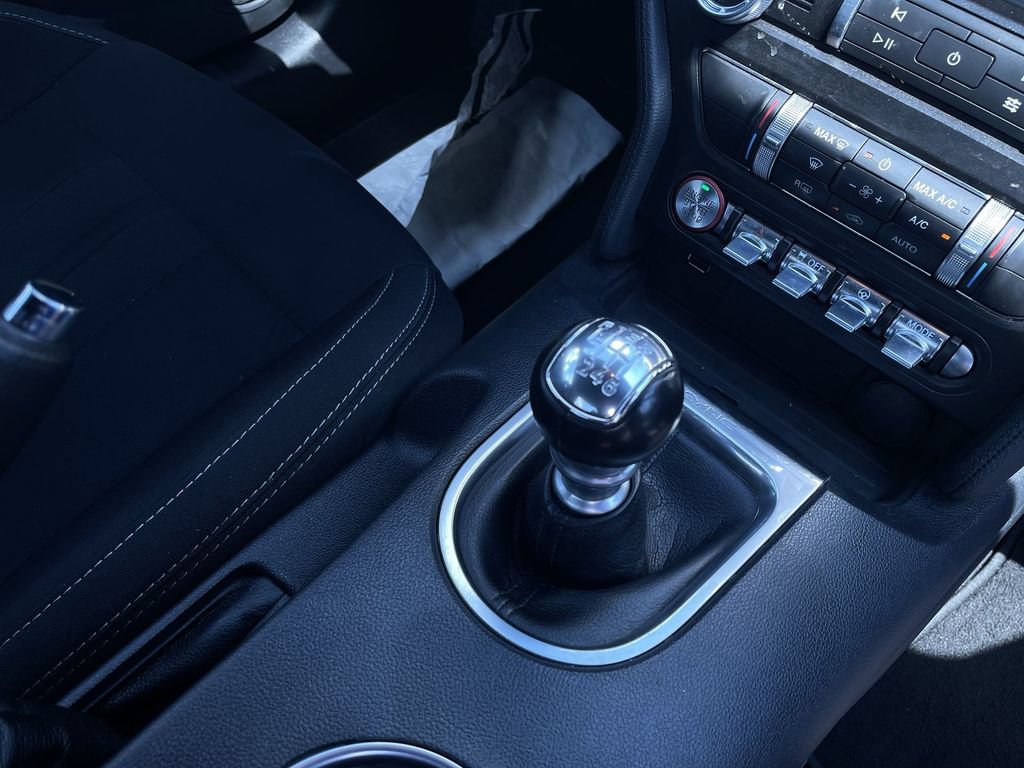 Used 2021 Ford Mustang GT w/ Equipment Group 301A RWD image 15