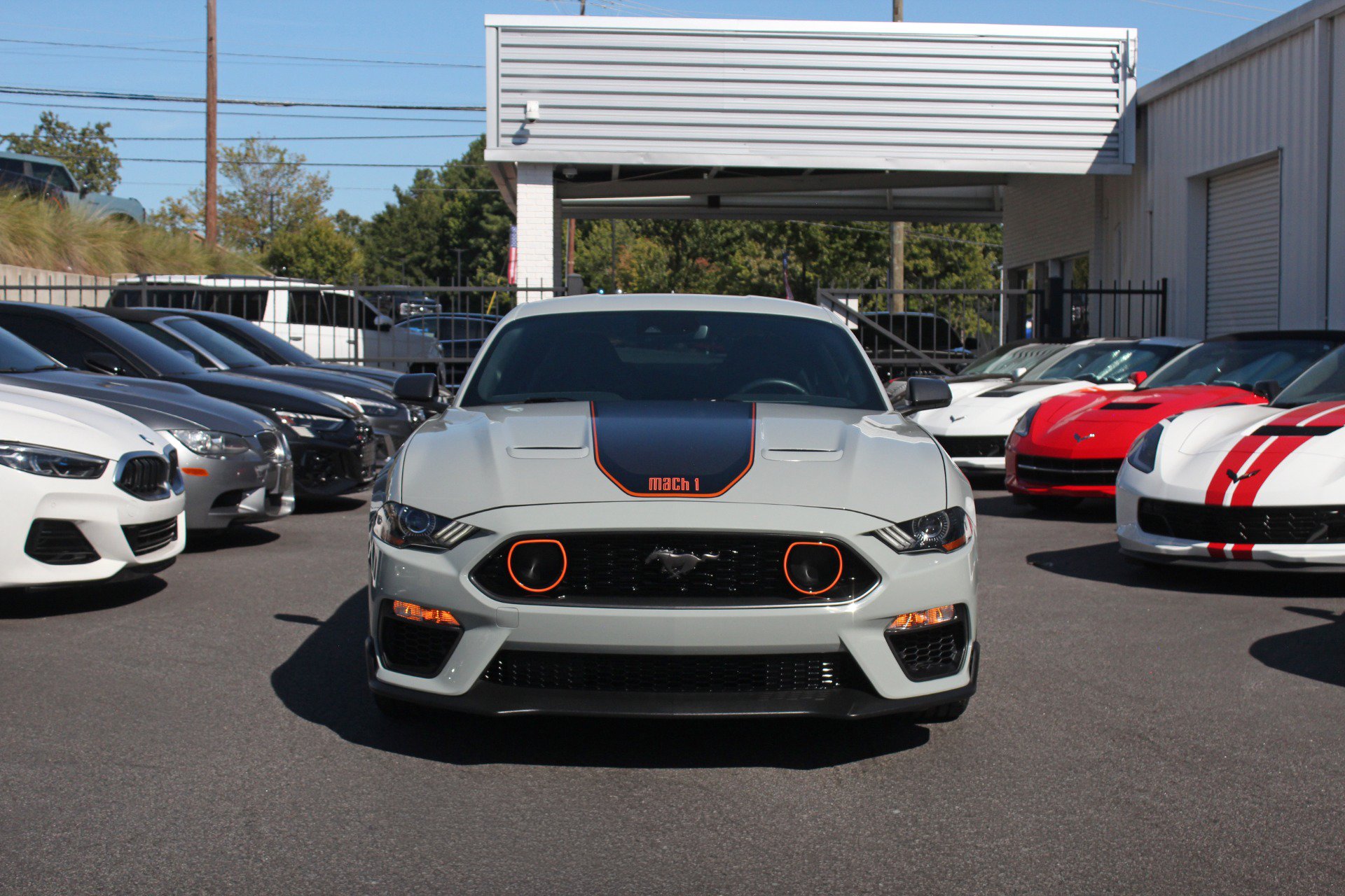 Used 2023 Ford Mustang Mach 1 w/ Equipment Group 700A RWD image 8