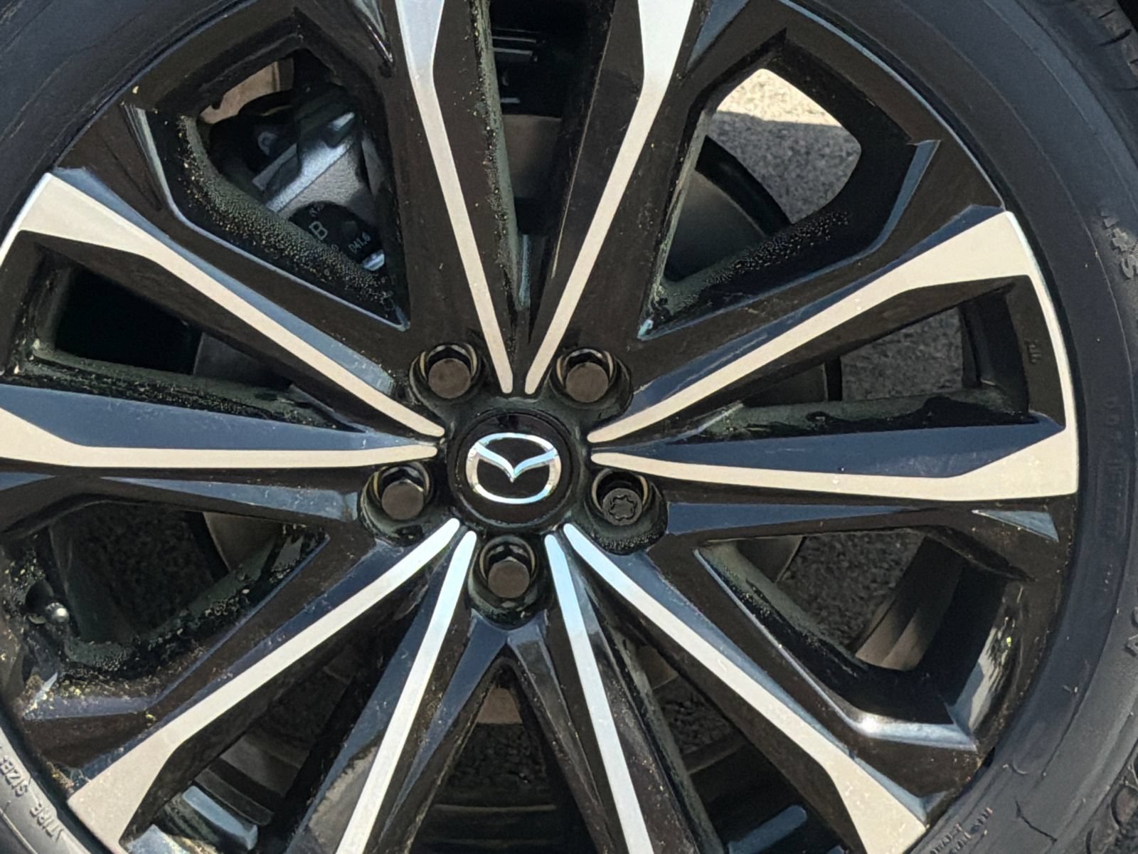 New 2026 MAZDA CX-50 AWD 2.5 S w/ Cargo Package image 4