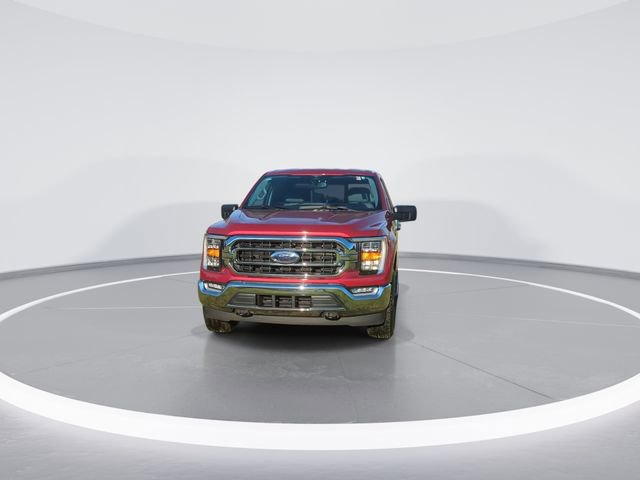 Used 2023 Ford F150 XLT w/ Equipment Group 302A High image 3