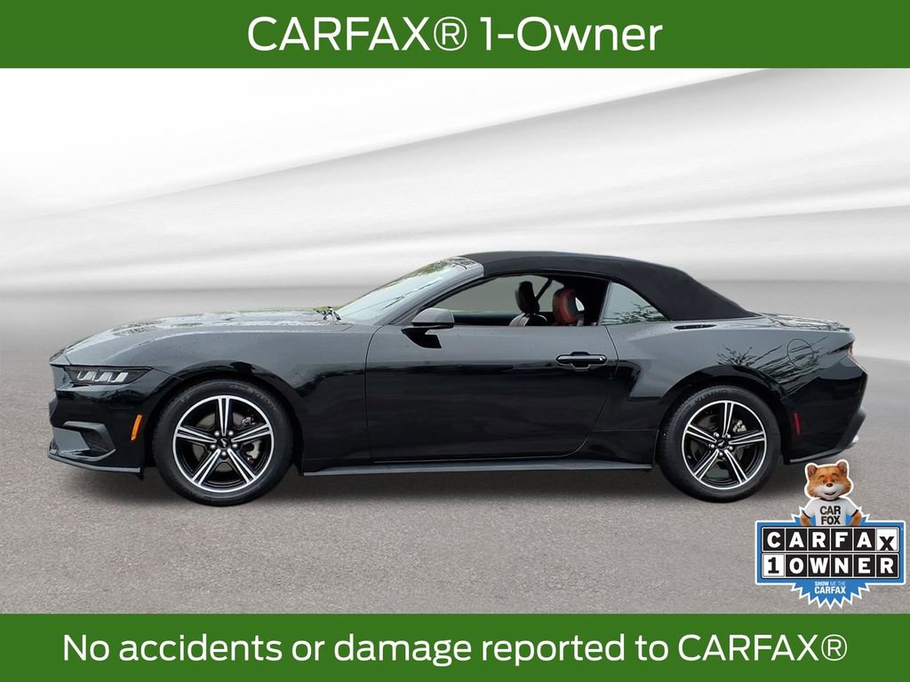 Used 2024 Ford Mustang Premium RWD image 2