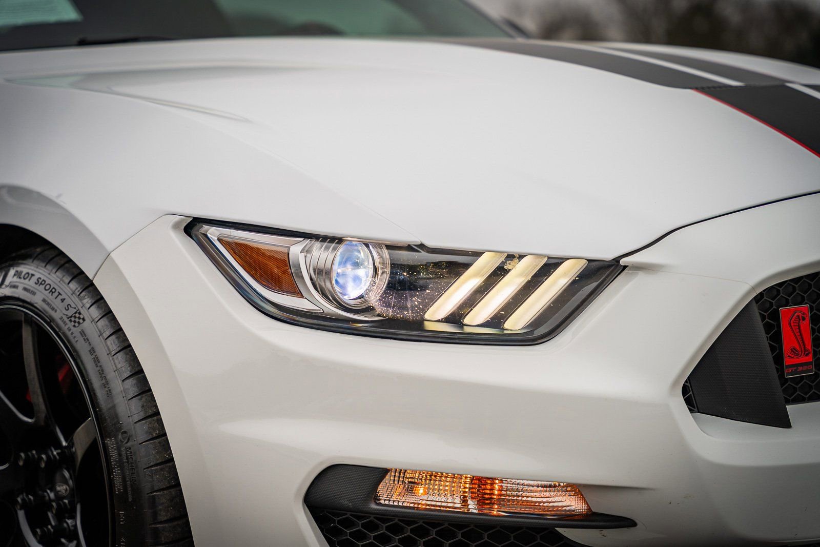 Used 2017 Ford Mustang Shelby GT350R w/ GT350R Equipment Group 920A image 7