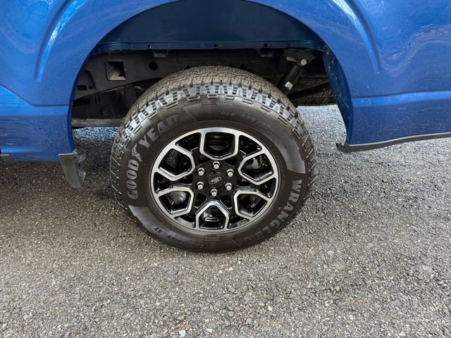 Used 2023 Ford F150 XLT w/ Equipment Group 302A High image 24