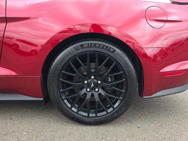 Certified 2018 Ford Mustang GT Premium w/ GT Performance Package RWD image 13