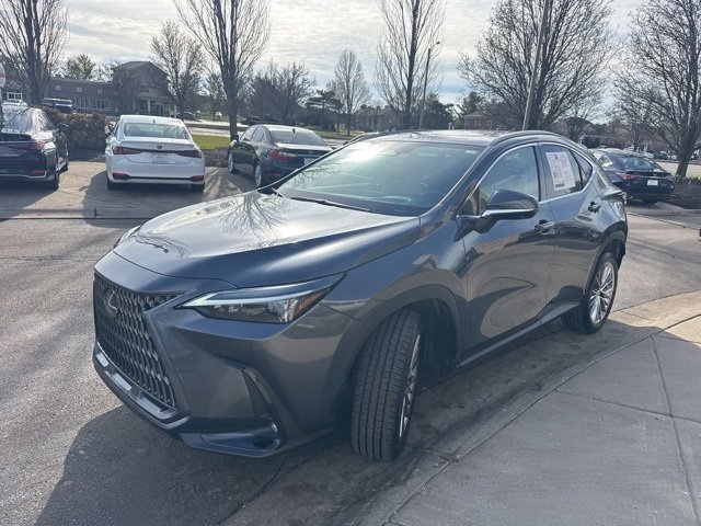 Used 2025 Lexus NX 350h AWD w/ Premium Package image 7