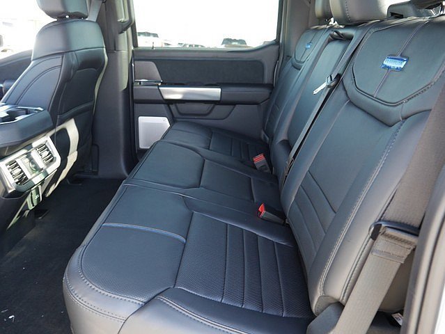 New 2025 Ford F250 Platinum image 15