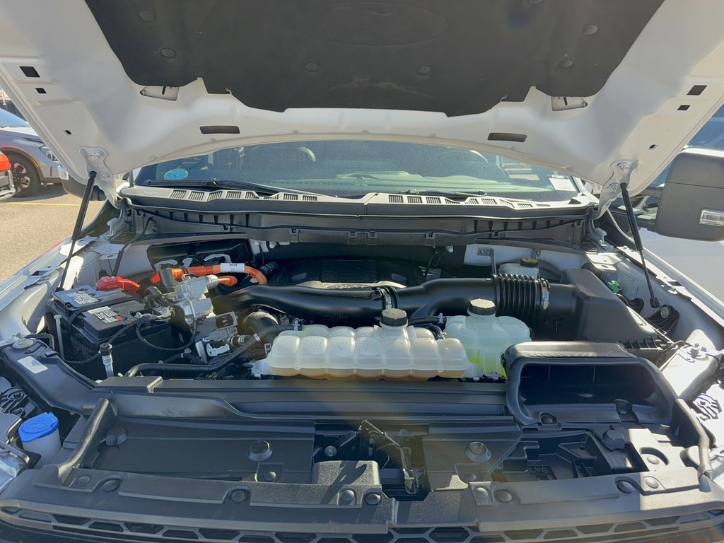 Certified 2023 Ford F150 XLT w/ Equipment Group 302A High image 40