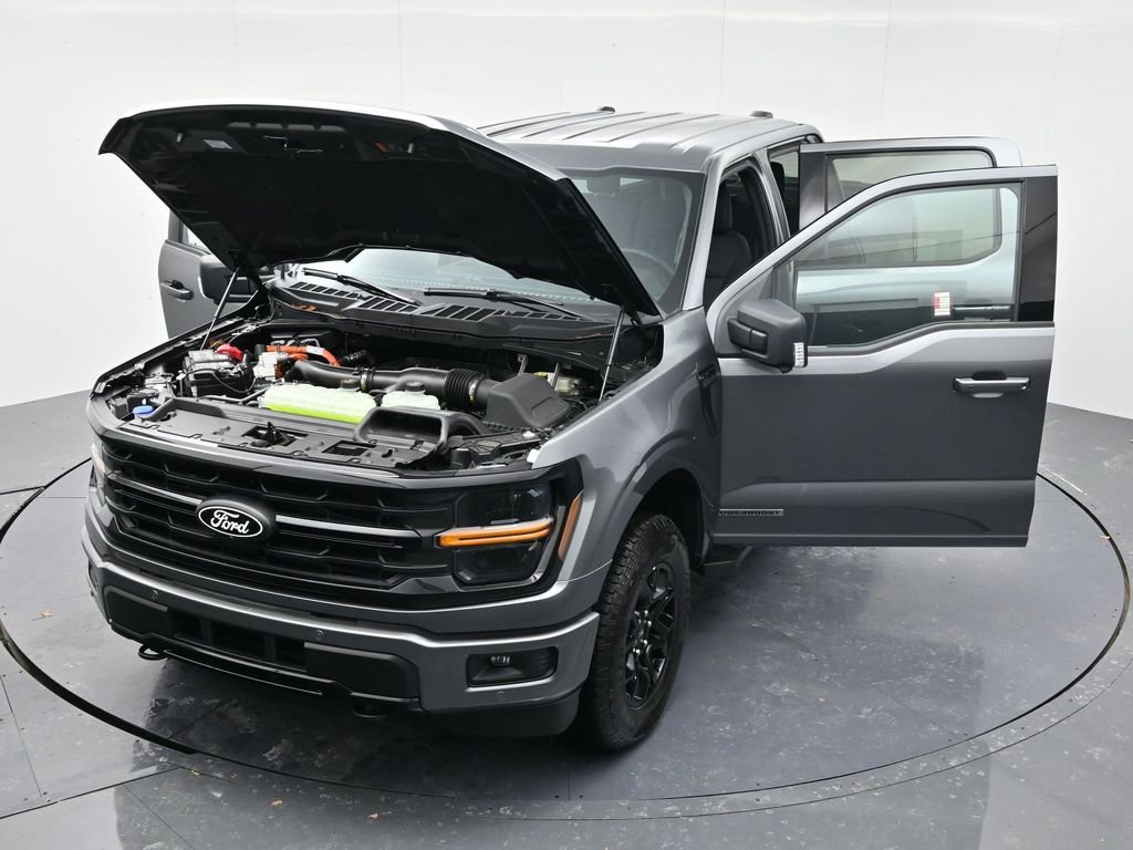 New 2025 Ford F150 XLT w/ Equipment Group 302A MID image 48