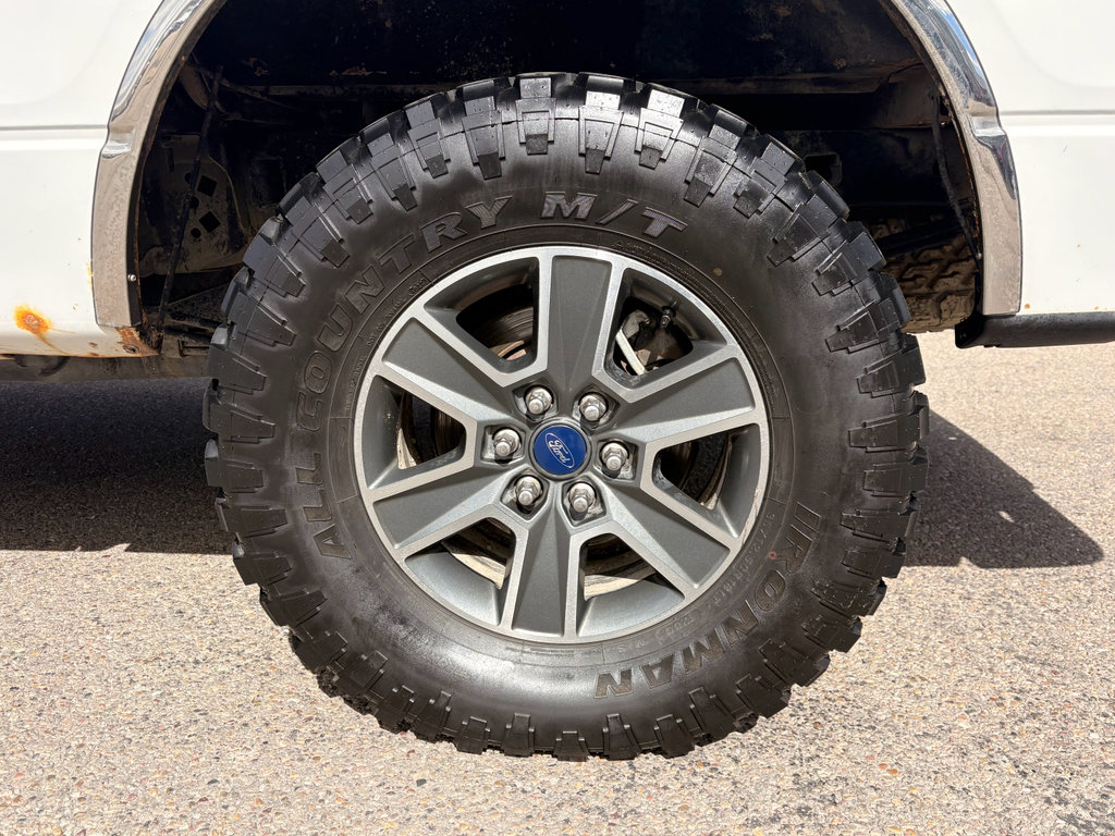 Used 2013 Ford F150 XLT AWD/4WD image 9