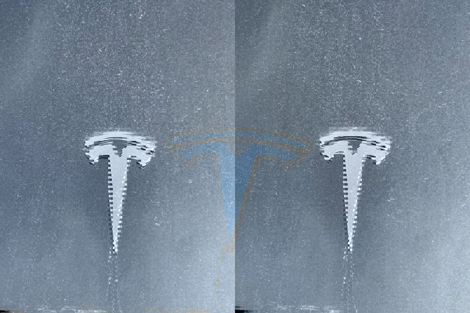 Used 2019 Tesla Model 3 Standard Range image 13