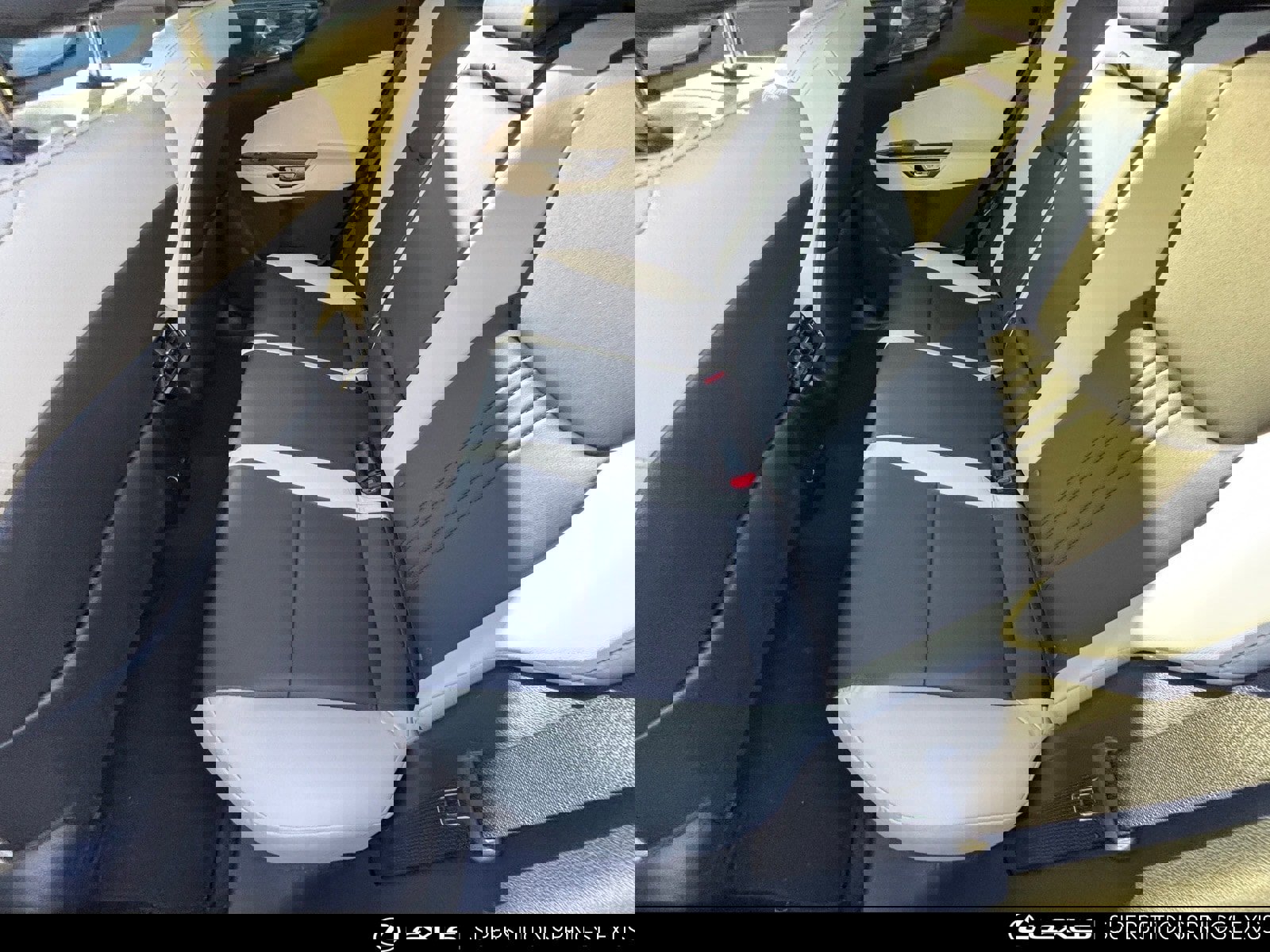 Certified 2024 Lexus NX 250 FWD w/ Premium Package image 7