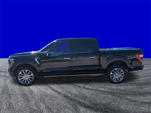 Used 2023 Ford F150 Limited image 6