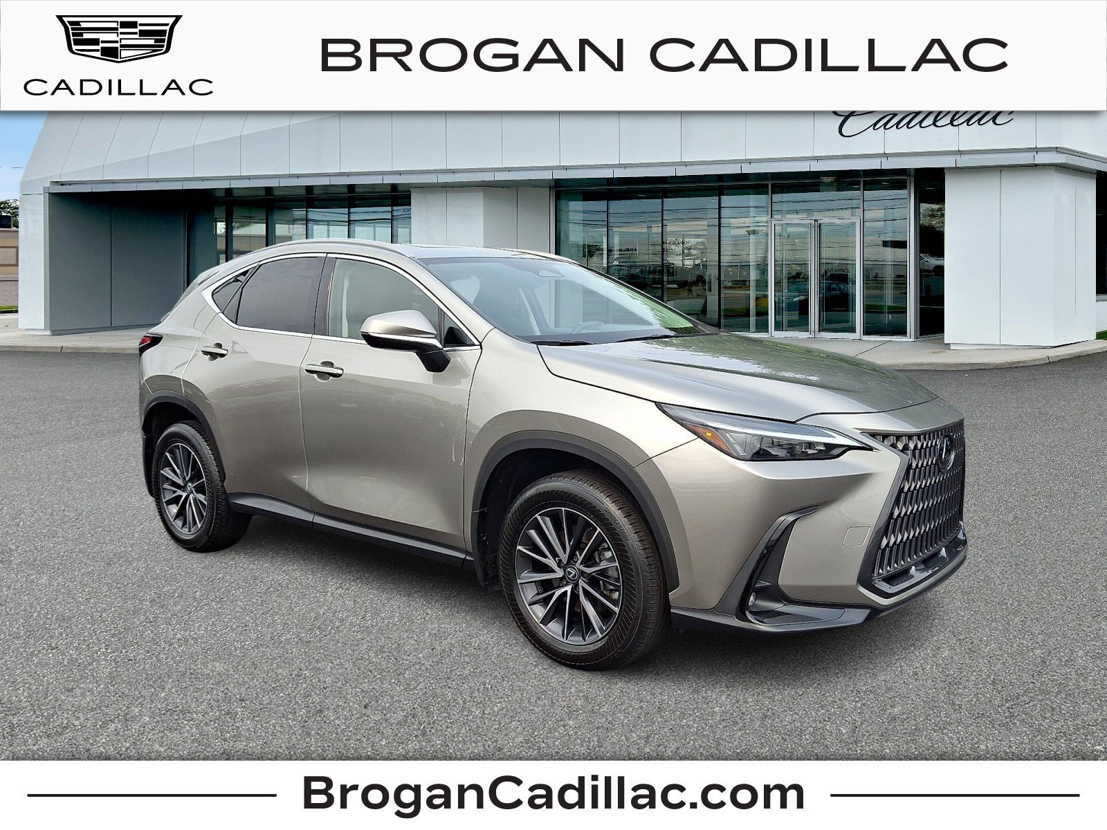 Used 2024 Lexus NX 350 AWD w/ Cold Area Package