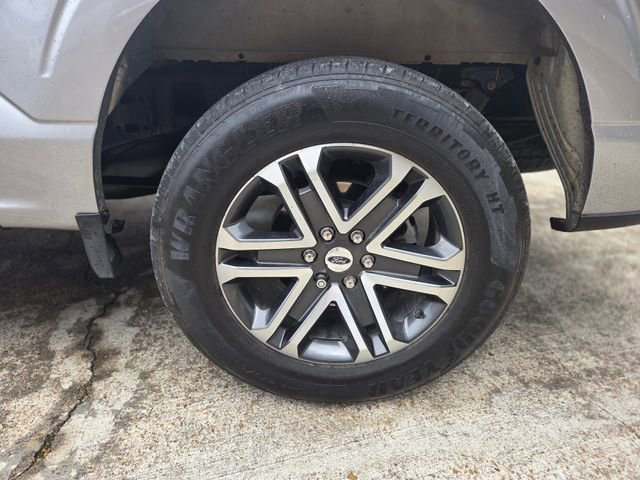 Used 2023 Ford F150 XL w/ STX Appearance Package image 11