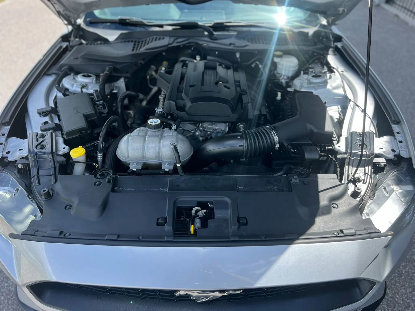 Used 2019 Ford Mustang Coupe RWD image 20