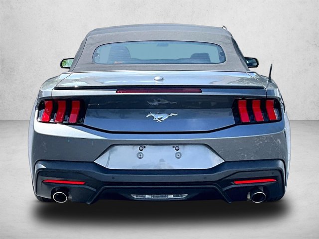 Used 2024 Ford Mustang Premium RWD image 4