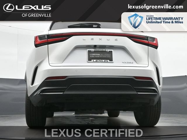 Certified 2025 Lexus NX 250 FWD w/ Accessory Package (2T) image 13