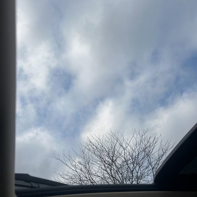 Used 2018 Audi Q7 3.0T Premium Plus image 13