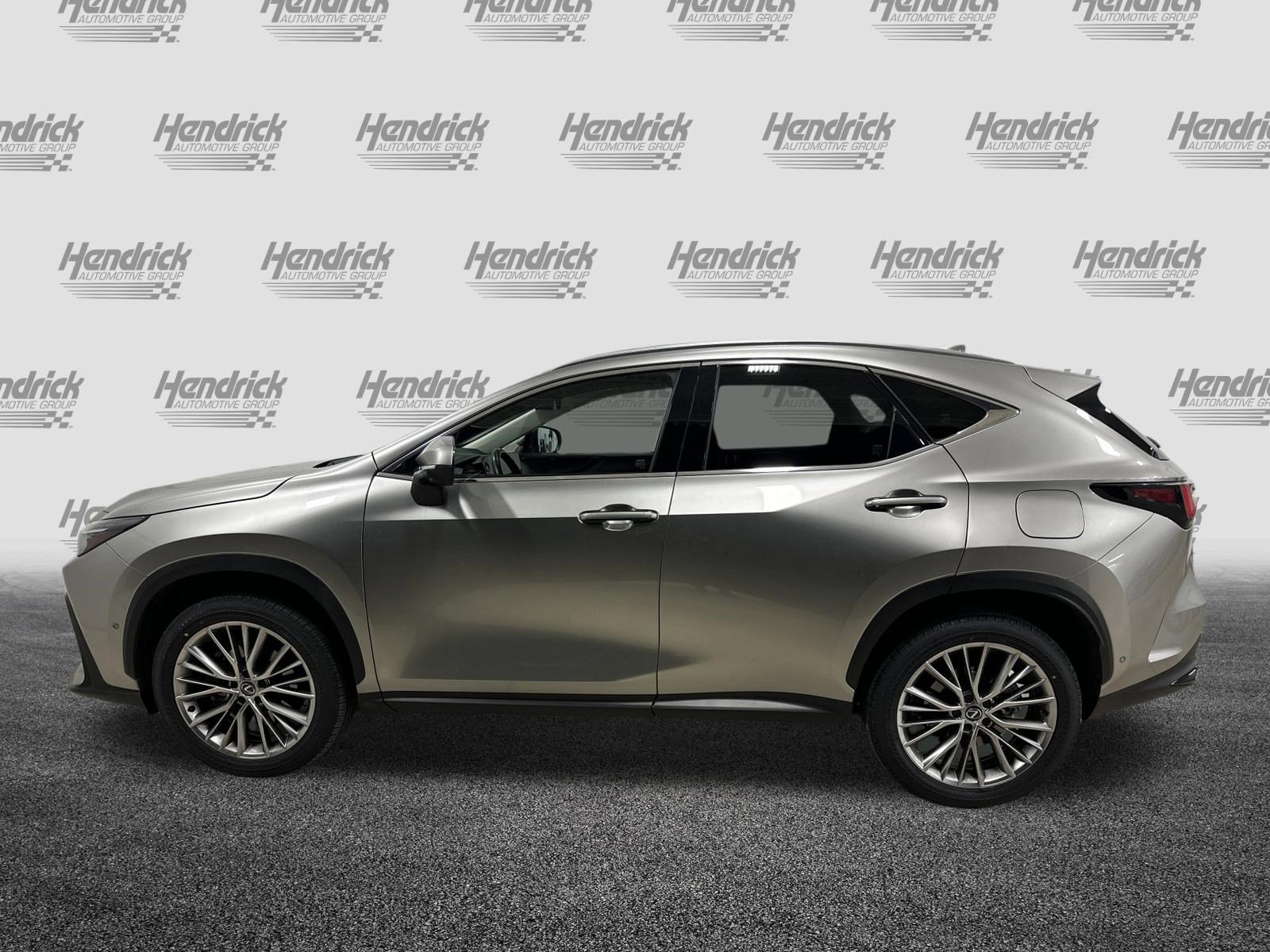 Certified 2024 Lexus NX 350h 350h Luxury w/ Vision Package image 7