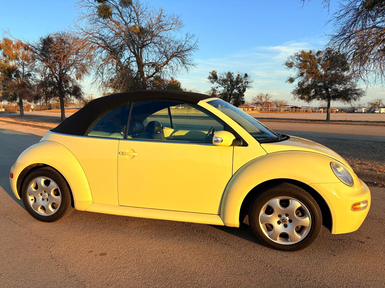 Used 2003 Volkswagen Beetle GLS image 13