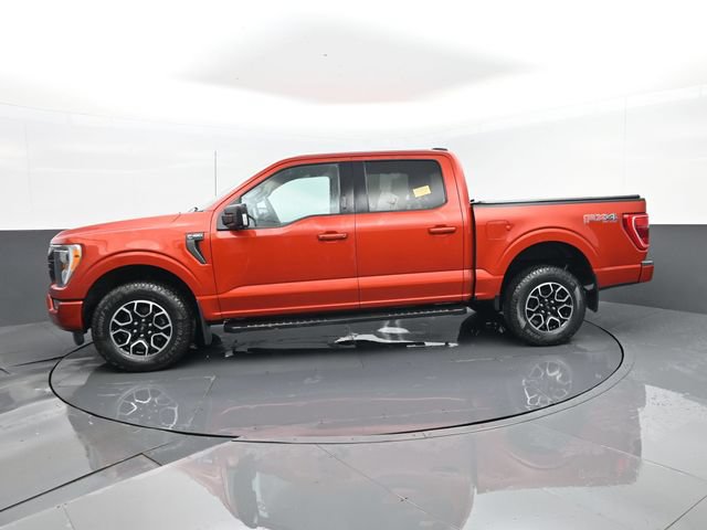 Used 2023 Ford F150 XLT w/ Equipment Group 302A High AWD/4WD image 5