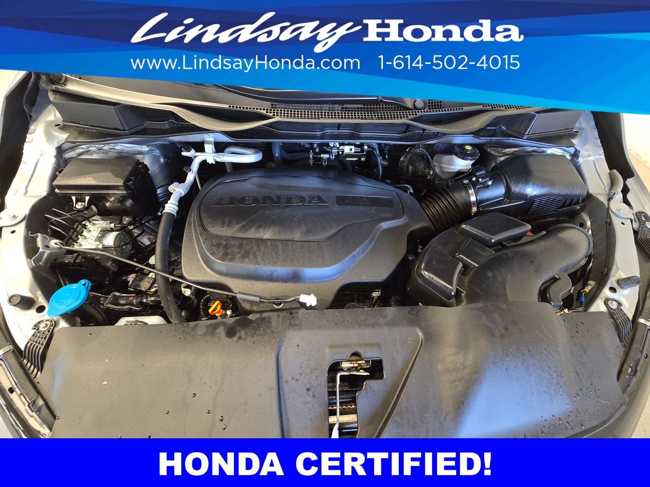 Certified 2026 Honda Odyssey Elite image 25