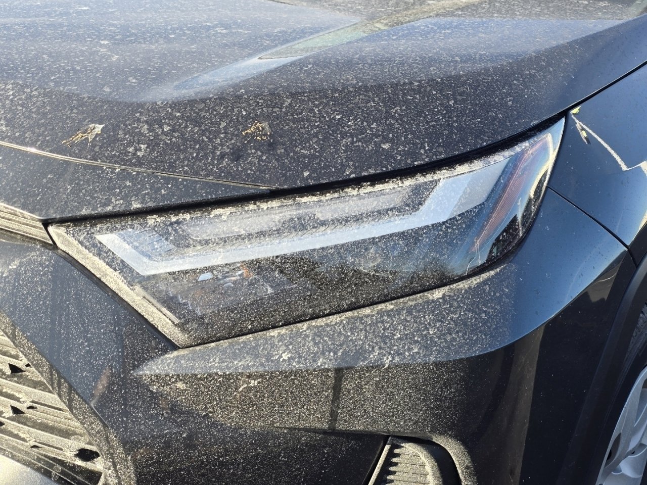 Used 2024 Toyota RAV4 LE image 22