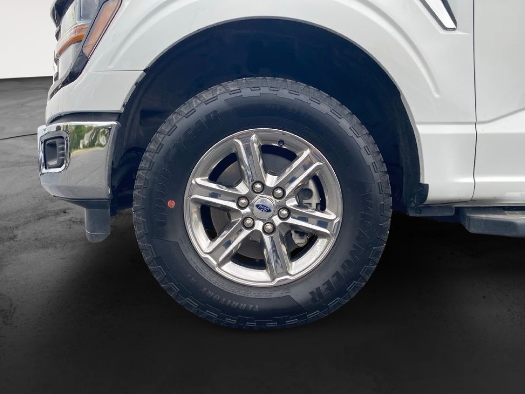 Used 2025 Ford F150 XLT w/ Equipment Group 301A Standard AWD/4WD image 14