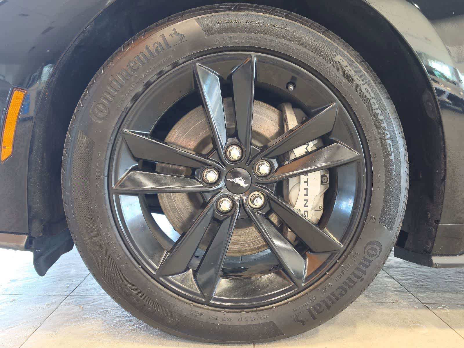 Used 2025 Ford Mustang GT RWD image 13