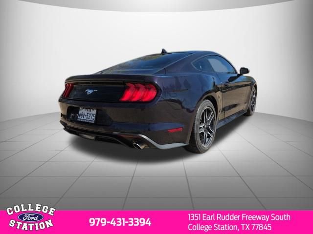 Used 2023 Ford Mustang EcoBoost w/ Equipment Group 101A image 6