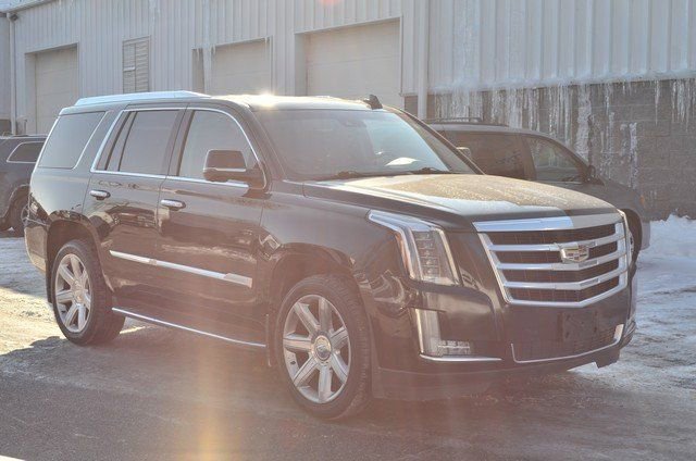 Used 2019 Cadillac Escalade Luxury image 2
