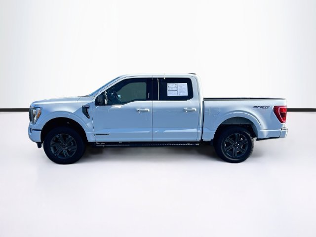 Certified 2023 Ford F150 XLT w/ Equipment Group 302A High AWD/4WD image 5