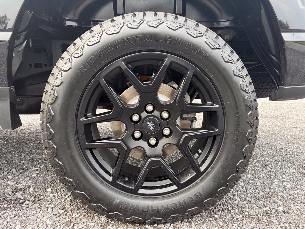 Used 2024 Ford F150 STX w/ STX Black Appearance Package AWD/4WD image 16
