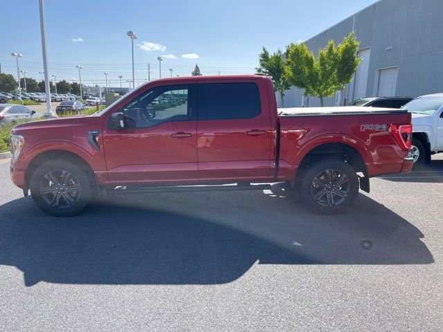 Used 2023 Ford F150 XLT w/ Equipment Group 302A High AWD/4WD image 9