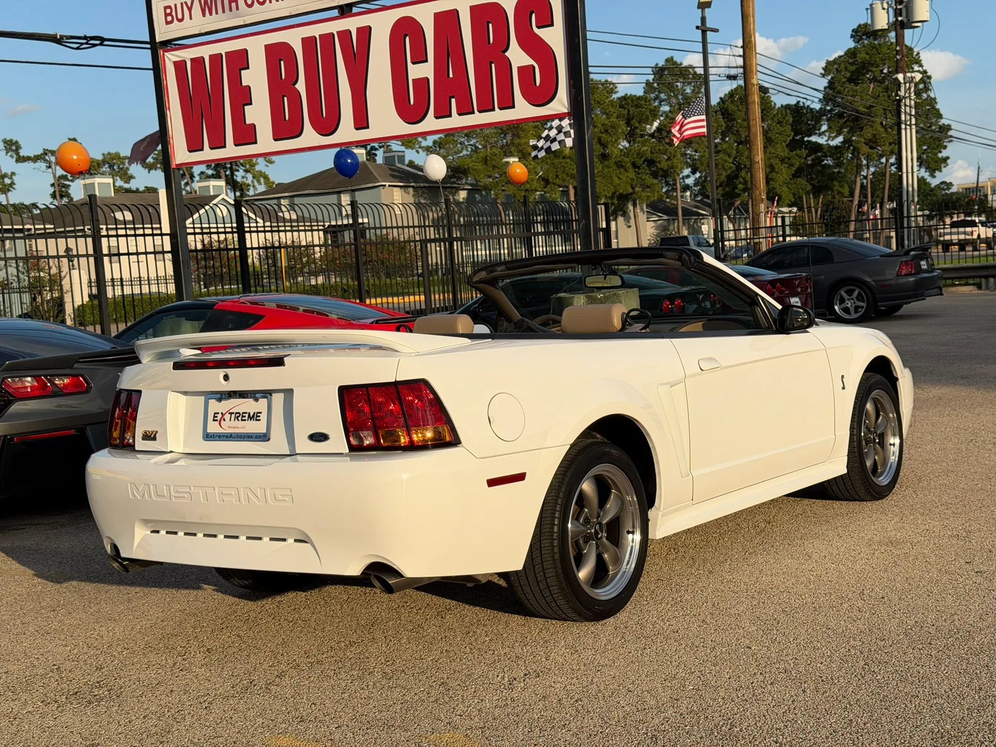 Used 1999 Ford Mustang Cobra RWD image 9