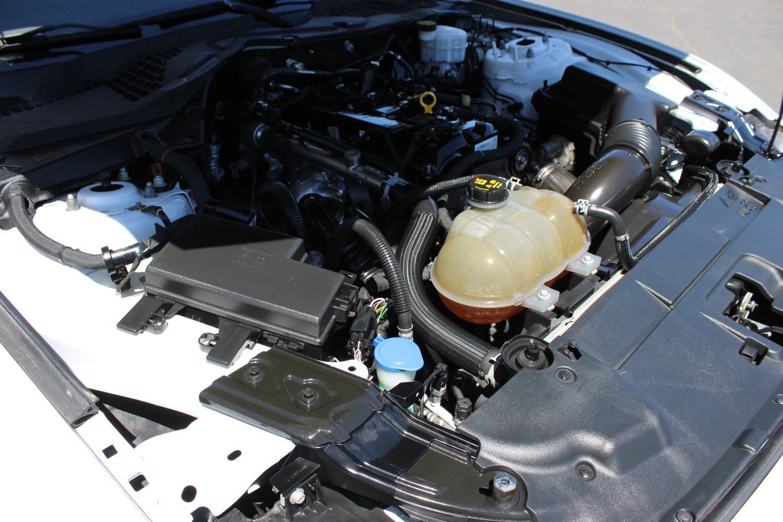 Used 2022 Ford Mustang Premium RWD image 18