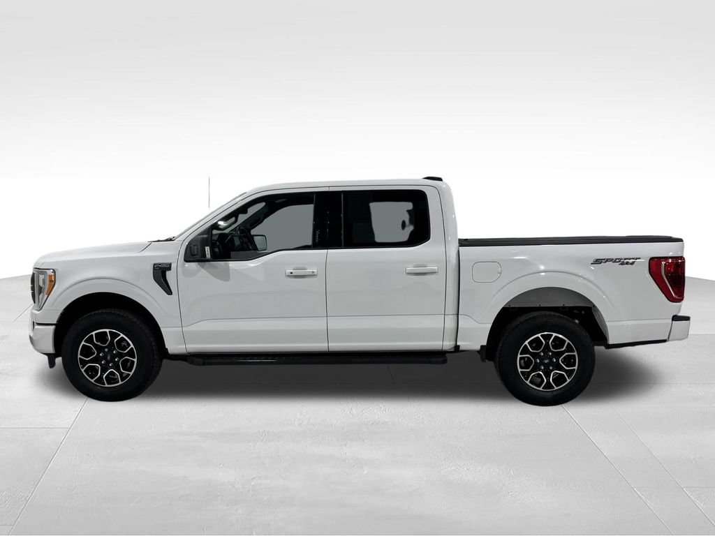 Used 2023 Ford F150 XLT w/ Equipment Group 302A High AWD/4WD image 13