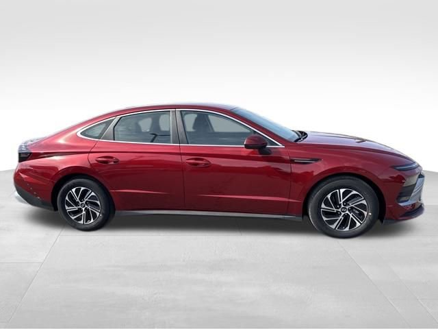 New 2026 Hyundai Sonata Blue image 6