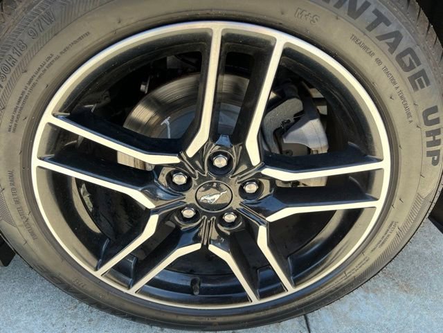Used 2018 Ford Mustang Premium w/ Equipment Group 201A RWD image 10