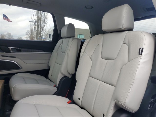 New 2025 Kia Telluride EX image 9