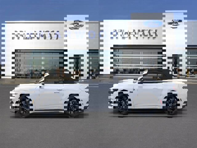 New 2026 Ford Mustang GT Premium w/ Mustang Nite Pony Package image 3