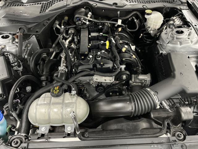 Used 2022 Ford Mustang Coupe w/ Equipment Group 101A image 33