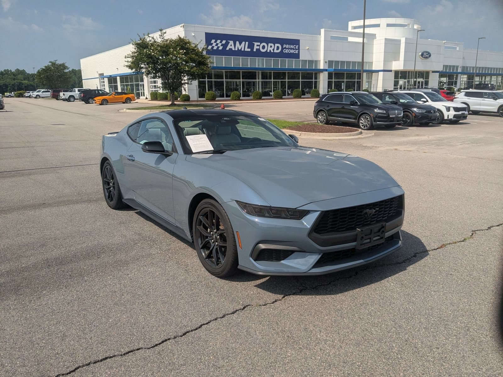 Used 2025 Ford Mustang Premium RWD image 1