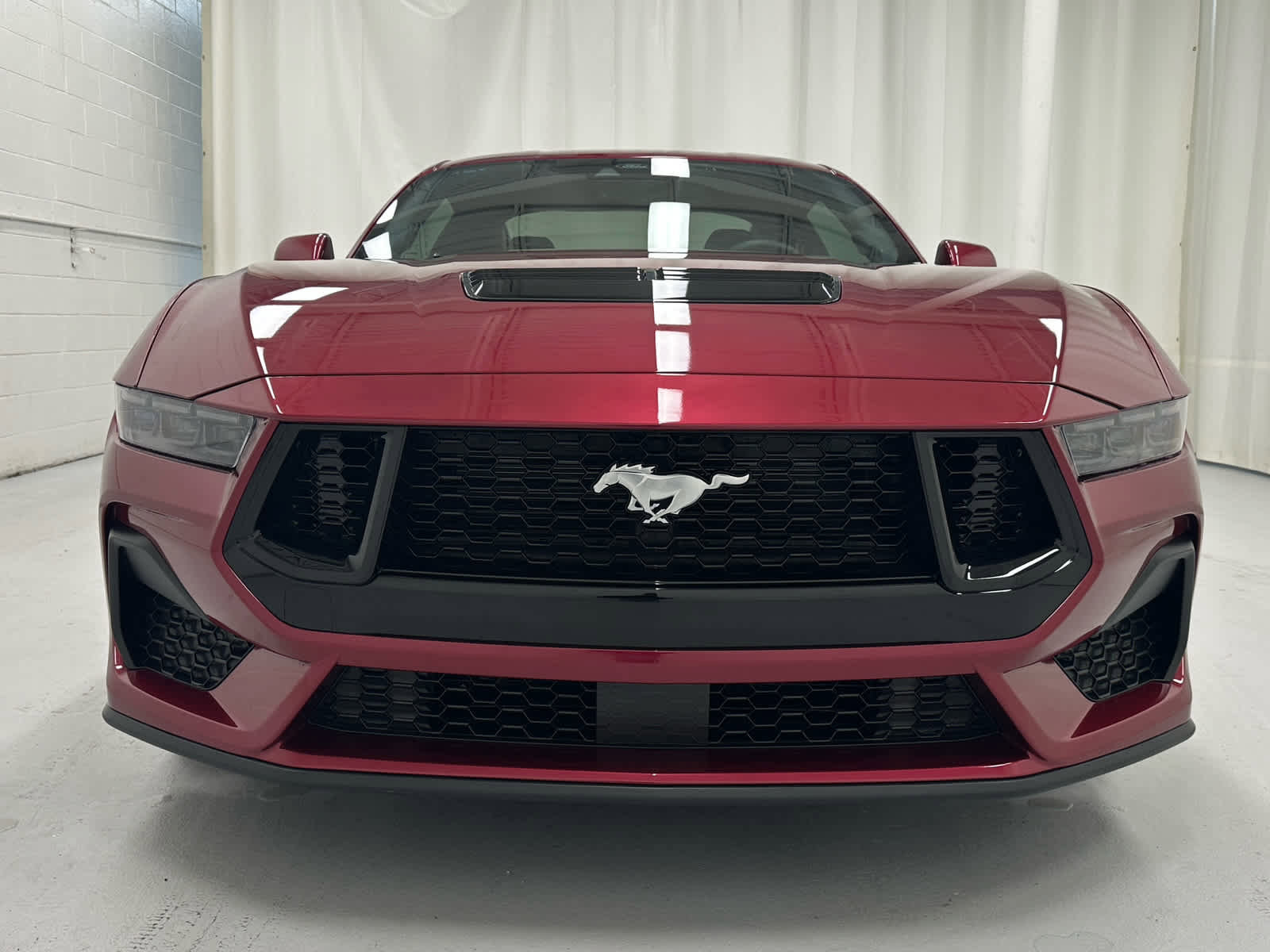 Used 2025 Ford Mustang GT Premium image 5